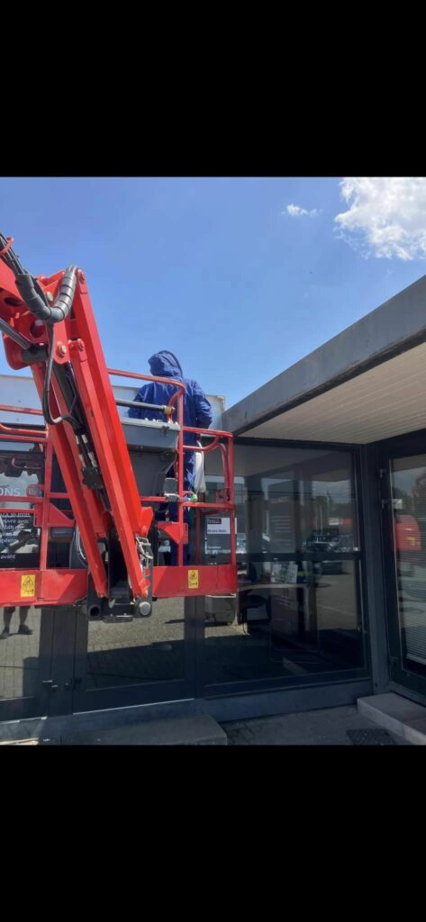 Guêpes Controle : Nid guêpes frelons Haguenau