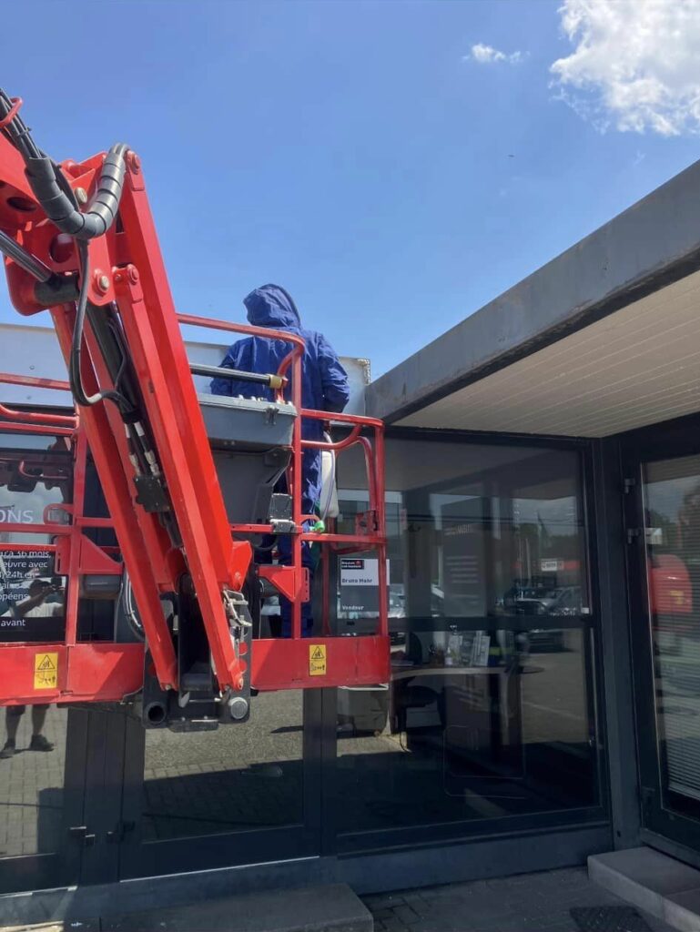 Guêpes Controle : Nid guêpes frelons Haguenau