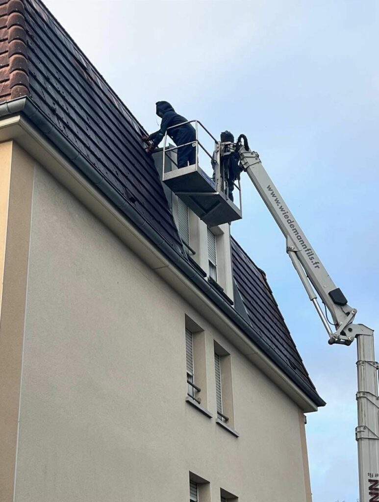 Guêpes Controle : Nid guêpes frelons Haguenau Nacelle